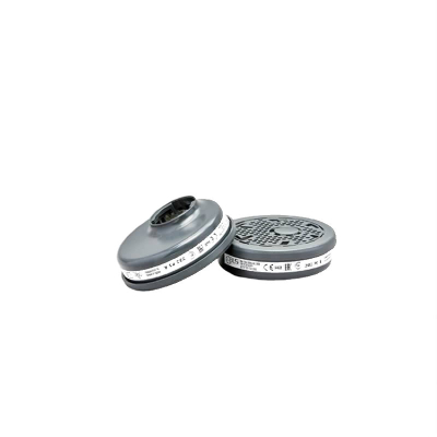 Kit Filtro Partic 202 (P3R) - 8011118 - Bls